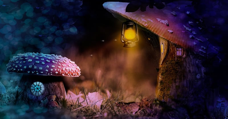 Enchanted Gardens
