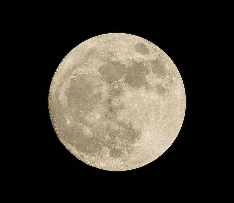 Moonlit Garden