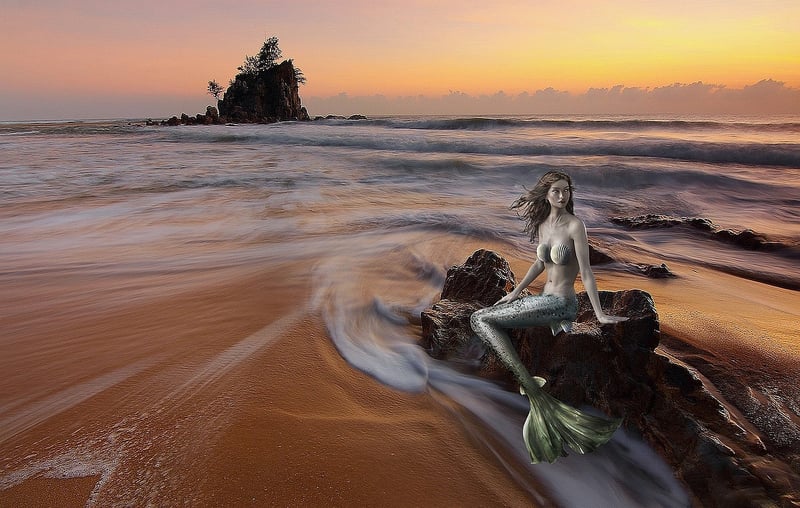 Mermaid tail fantasy